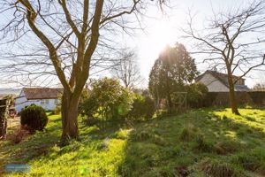 Garden- click for photo gallery